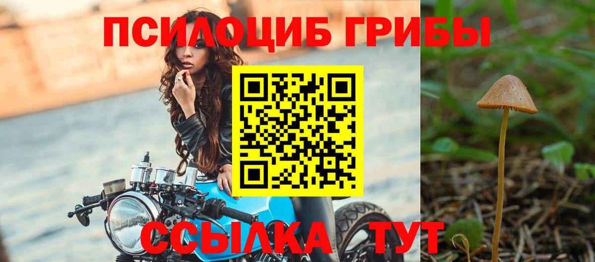 наркотики  Галлюциногенные грибы Magic Shrooms  Вход с VPN  Псилоцибиновые грибы Psilocybine cubensis  Черкесск 